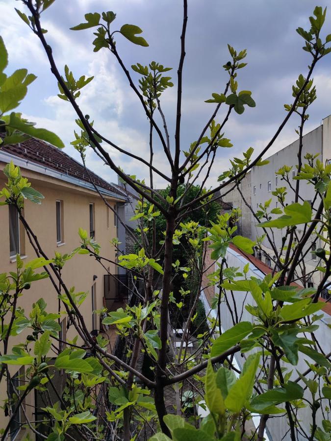 Centar Novi Sad-Apartman No 3 외부 사진