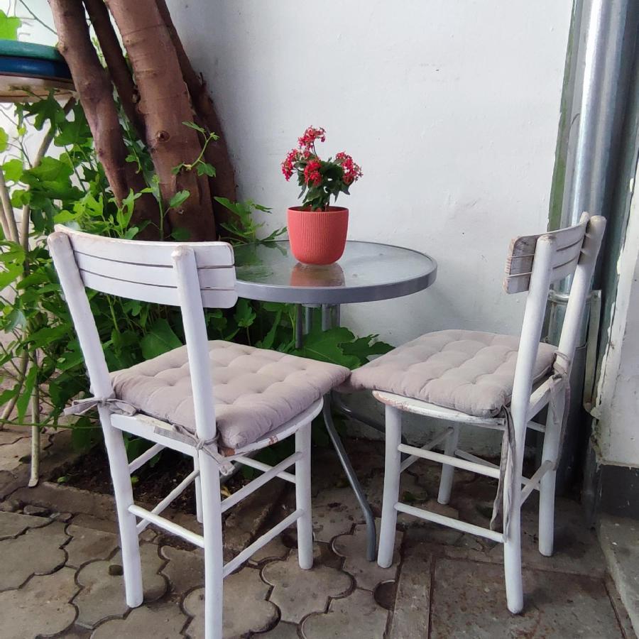 Centar Novi Sad-Apartman No 3 외부 사진