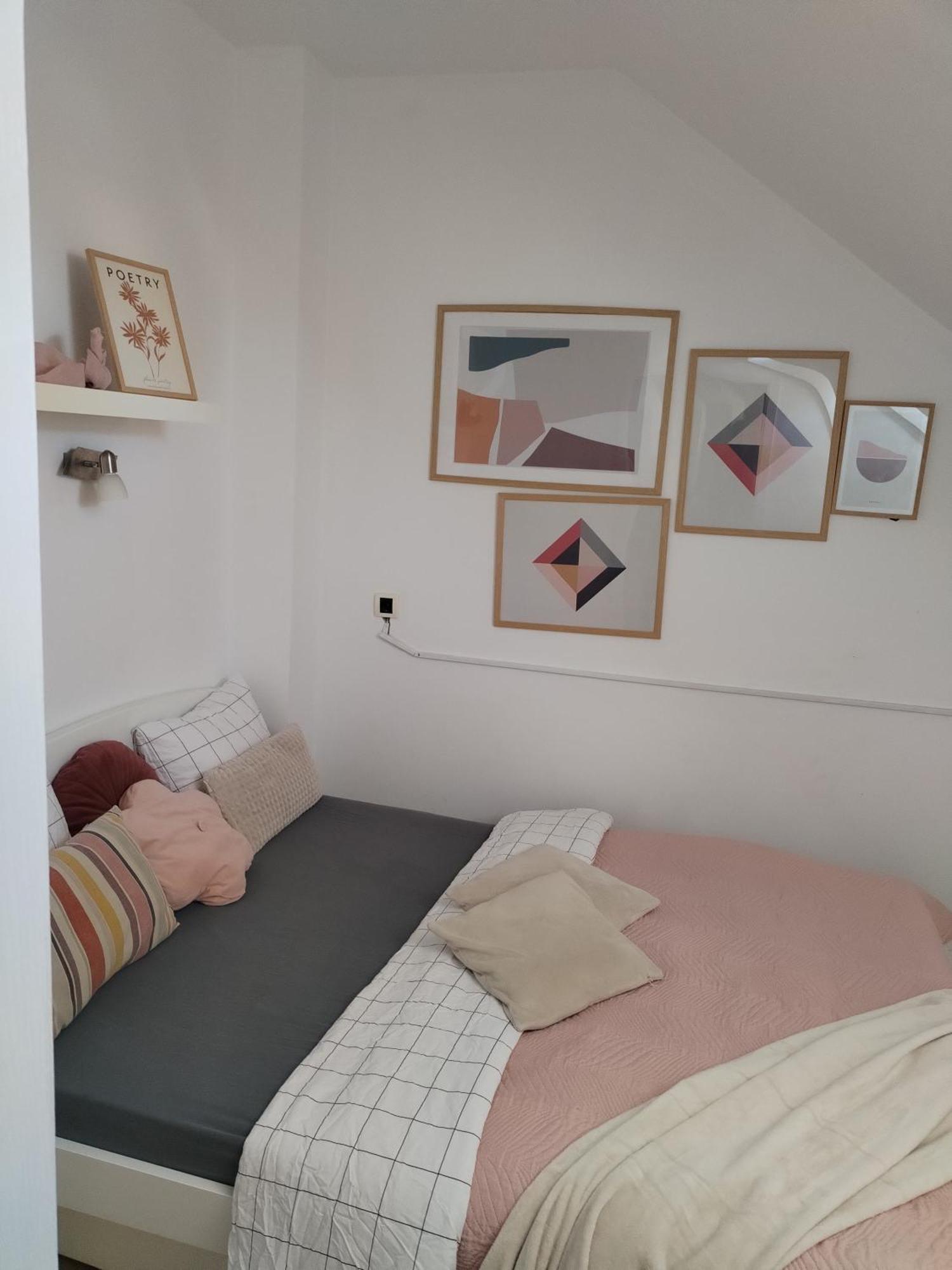Centar Novi Sad-Apartman No 3 외부 사진